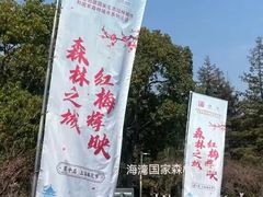 -上海海湾国家森林公园