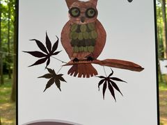 -杭州植物园