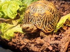 -上海海洋水族馆