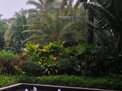 -碧桂园润杨溪谷温泉酒店