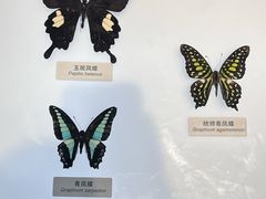 -中国湿地博物馆