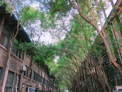 -凡德艺术街区