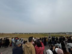 -盐城丹顶鹤湿地生态旅游区