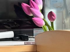-港师傅·菠萝包(北京超极合生汇店)