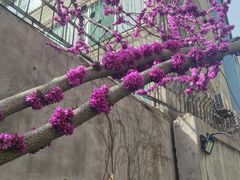 -阳光家常菜(泉乐坊店)