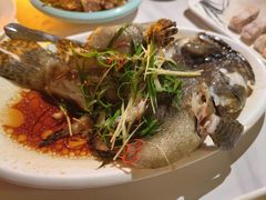 -琶醍壹号•音乐江景餐吧