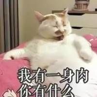 -小龙坎火锅(好世界店)