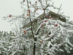 -哆来咪火锅烤肉自助(牌楼店)