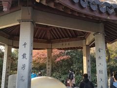 -杭州西湖风景名胜区-钱塘苏小小之墓