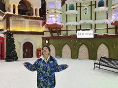 -世界之窗阿尔卑斯冰雪世界