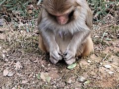 -上方山森林动物世界