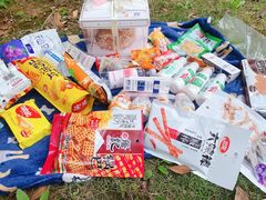 -铁山坪森林公园