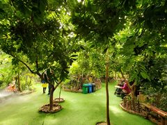-呀路古热带植物园