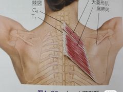 -脊正康推拿整脊馆