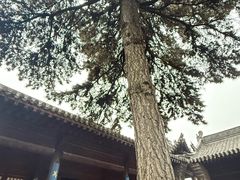 -雁门关景区