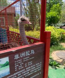 -萌宠亲子动物乐园(槐房万达店)