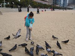-海云台海滩