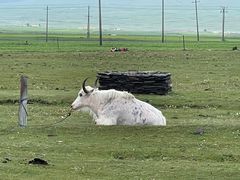 -青海湖国家重点风景名胜区