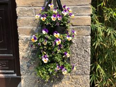 -回龙窝历史文化街区