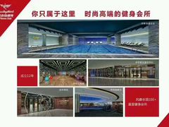 -金吉鸟健身游泳