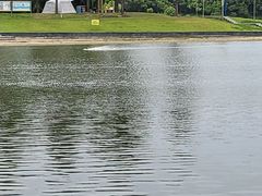 -美兰湖景区