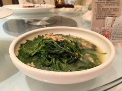 -宝园酒家(美林M·LIVE天地东座店)