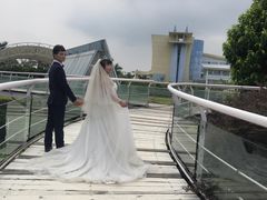 -百万葵园