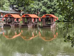 -侨美·唐荔园·40年地道粤菜