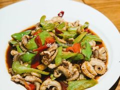 -船歌鱼水饺(淄博万象汇店)