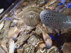 -诱货海鲜自助火锅(爱琴海购物公园东百店)