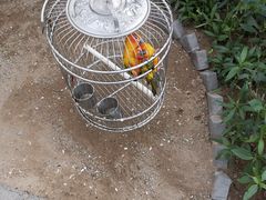 -南宫五洲植物乐园