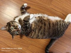 -众品老方子锅贴甜沫(李村店)