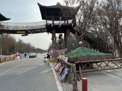 -呀路古热带植物园
