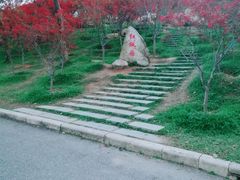 -广州市帽峰山景区