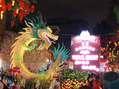 -越秀西湖花市(广州城市广场花卉店)