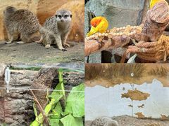 -正佳雨林生态植物园