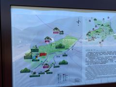 -龙坞茶村