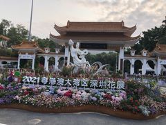 -深圳仙湖植物园