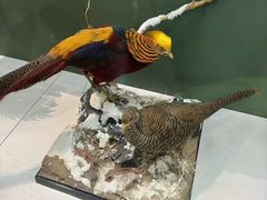 -国家自然博物馆