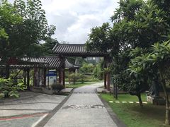 -广州神农草堂中医药博物馆