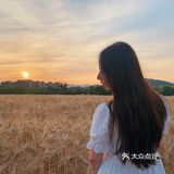 杭州滨江的麦田,在夕阳下奔跑吧