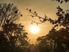 -白石龙音乐公园