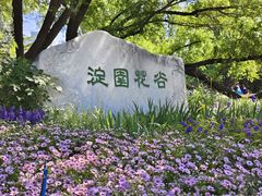 -海淀公园