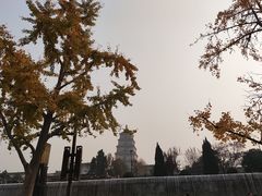 -大雁塔北广场音乐喷泉