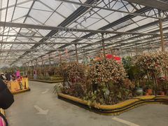 -南宫五洲植物乐园