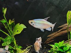 -上海海洋水族馆