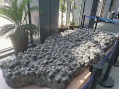 -辽宁古生物博物馆