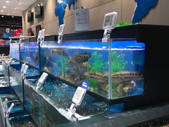 -盒马鲜生(王府广场店)