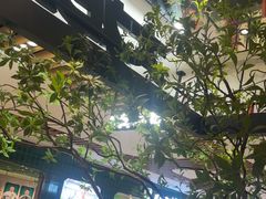 -大神太神·铁板烧(七宝领展广场店)