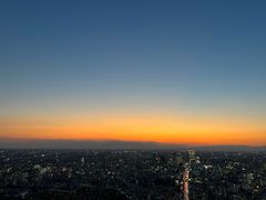 -六本木新城展望台(东京城市景观)